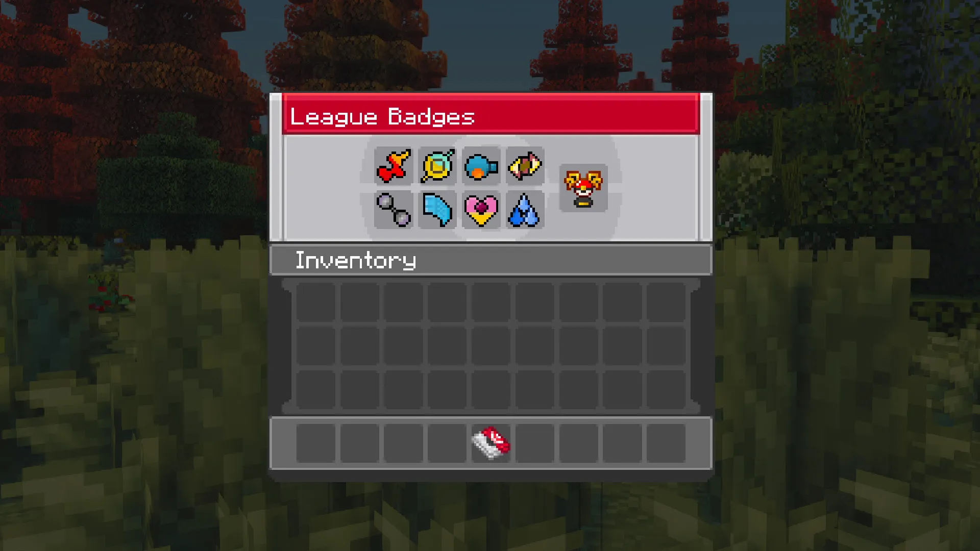 Collectible gym badges laid out in the trainer badge case